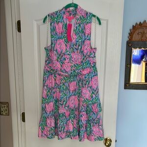 Lilly Pulitzer XL Annalise V-neck Dress in Turtley love
